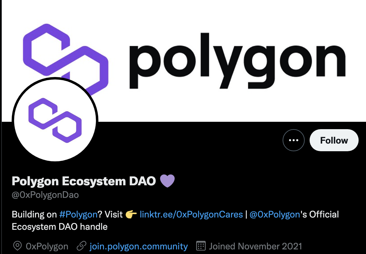 Polygon Ecosystem DAO Twitter - Building community in crypto/web3 